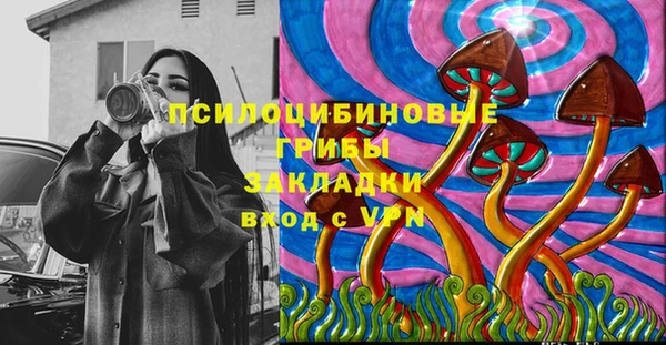 дживик Алзамай