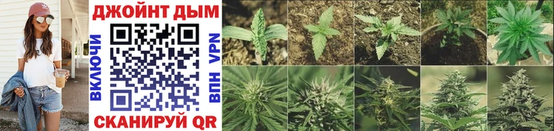 Марихуана Bruce Banner  Купить  Петушки 